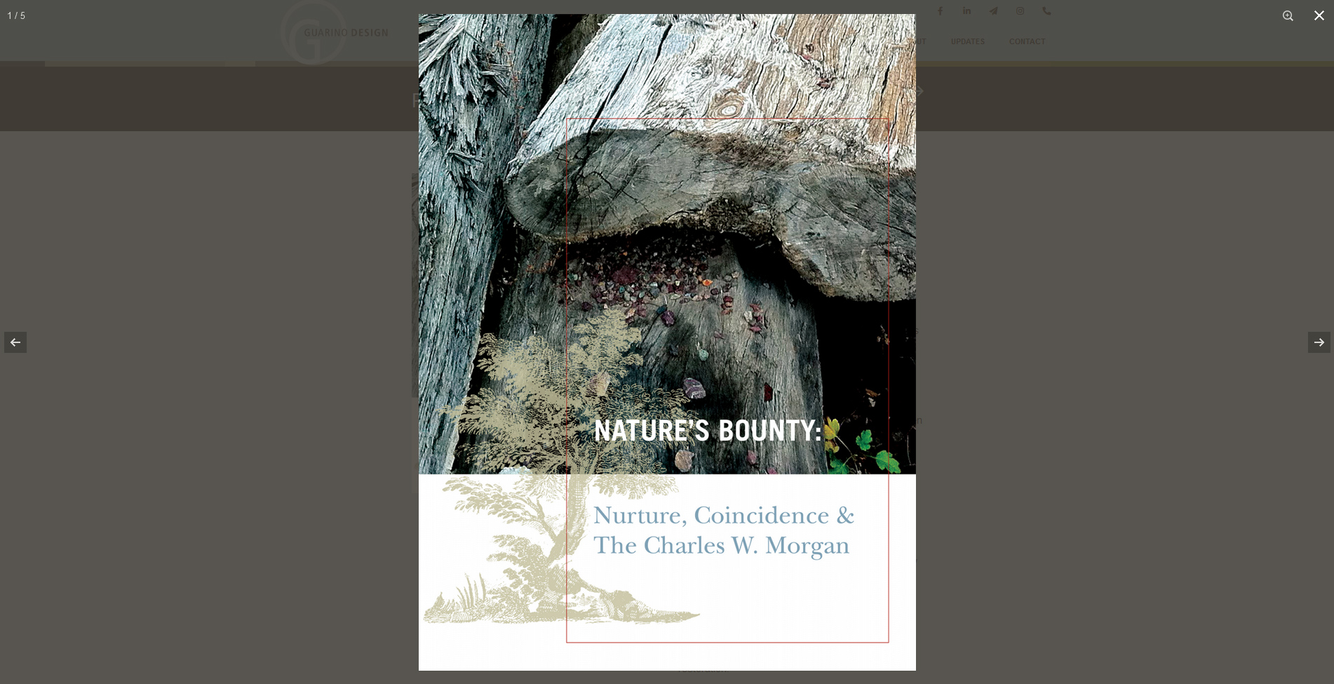 Project image full-screen zoom - guarinodesign.com &copy; by eBree Web Design